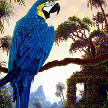 Схема вышивки «Синий попугай»