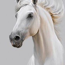 Оригинал схемы вышивки «Белый конь» (№1822166)
