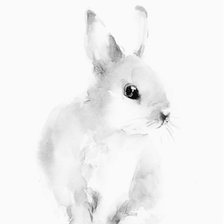 Оригинал схемы вышивки «Белый заяц» (№1823594)