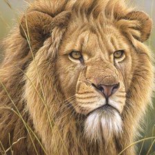 Схема вышивки «сердитый лев»