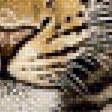 Предпросмотр схемы вышивки «Леопард» (№1834013)