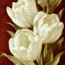 Оригинал схемы вышивки «белые тюльпаны» (№1834172)