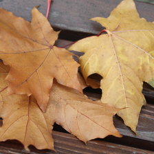 Схема вышивки «листья на скамейке»