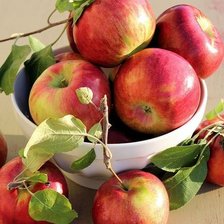 Оригинал схемы вышивки «яблоки» (№1840144)