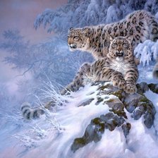 Схема вышивки «зимние леопарды»