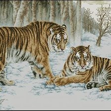 Схема вышивки «бенгальские тигры»