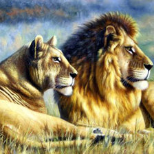 Оригинал схемы вышивки «серия хищники. львы» (№1858994)