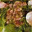Предпросмотр схемы вышивки «okno,kvety» (№1862181)
