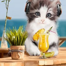 Котёнок и ананасовый коктейль