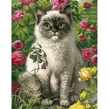 Схема вышивки «котик в розах»