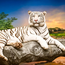 Оригинал схемы вышивки «Белый тигр» (№1871834)