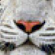 Предпросмотр схемы вышивки «Белые тигры» (№1873433)