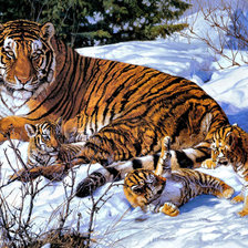 Схема вышивки «Тигрица с котятами в снегу»
