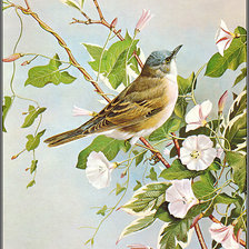 Оригинал схемы вышивки «Птица на ветви» (№1887513)