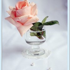 Схема вышивки «роза в бокале»