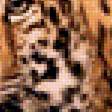 Предпросмотр схемы вышивки «Леопарды» (№1890687)