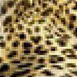 Предпросмотр схемы вышивки «Семейство леопардов» (№1891201)