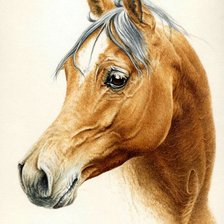 Оригинал схемы вышивки «Лошадь» (№1892136)