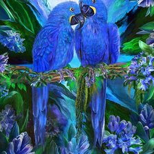 Схема вышивки «Синие попугаи»