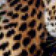 Предпросмотр схемы вышивки «Леопарды» (№1895360)
