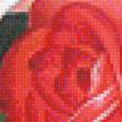 Предпросмотр схемы вышивки «Серия "Розы".» (№1899152)