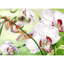 Схема вышивки «Орхидеи и лягушка»
