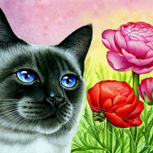 Схема вышивки «mačka,kvety»