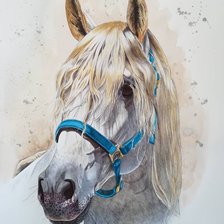Схема вышивки «портрет серой лошади»