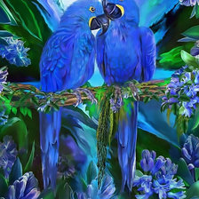 Оригинал схемы вышивки «Синие попугаи» (№1920244)