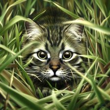 Схема вышивки «Кот в траве»