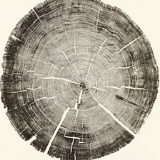 Схема вышивки «Дерево»