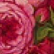 Предпросмотр схемы вышивки «kvety,zátišie» (№1927942)