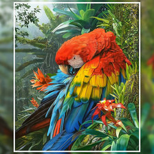 Схема вышивки «Тропический попугай»
