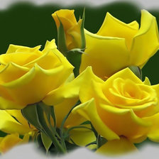 Оригинал схемы вышивки «Жёлтые розы» (№1933323)