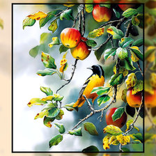Схема вышивки «Птичка на яблоне.»