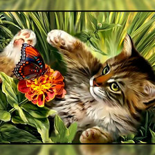 Схема вышивки «Котик и бабочка.»