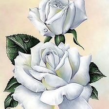 Схема вышивки «Белая роза.»