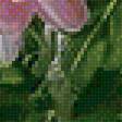 Предпросмотр схемы вышивки «цветы» (№1945711)