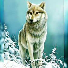 Схема вышивки «Волк в зимнем лесу2.»