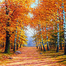Оригинал схемы вышивки «Осенний пейзаж» (№1949704)