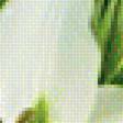 Предпросмотр схемы вышивки «Белые лилии.» (№1953899)