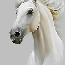 Оригинал схемы вышивки «Белая лошадь.» (№1954680)