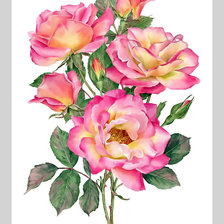 Оригинал схемы вышивки «Розы.» (№1954916)