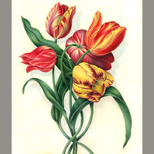 Оригинал схемы вышивки «Серия "Тюльпаны"» (№1955365)