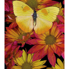 Схема вышивки «Цветы и бабочка.»