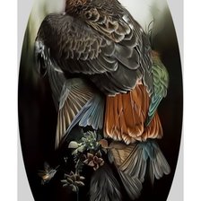 Схема вышивки «Хищная птица.»