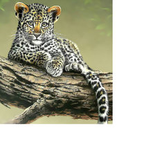 Схема вышивки «Котёнок леопарда.»