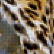 Предпросмотр схемы вышивки «Леопард с котятами2.» (№1958857)