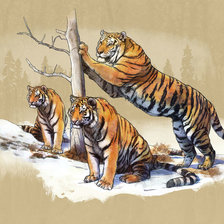 Оригинал схемы вышивки «Тигры» (№1962842)
