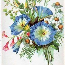 Оригинал схемы вышивки «modré kvety» (№1964423)